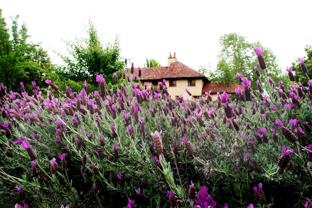 Rancho Caymus Inn Rutherford Exteriér fotografie